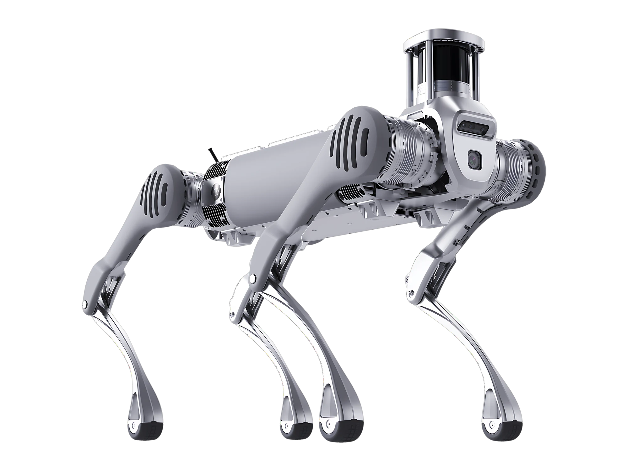 HOUND Max