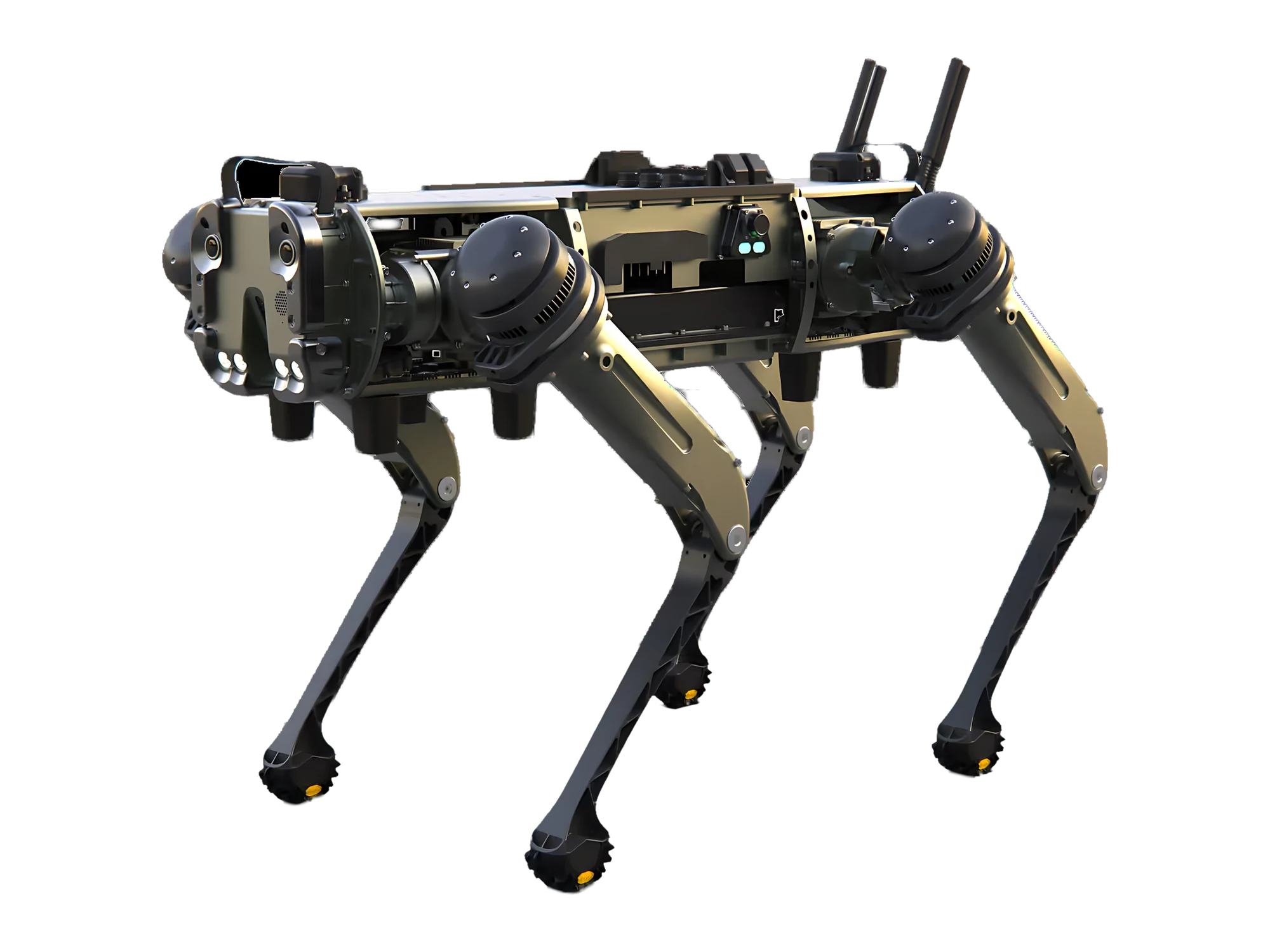 Sentriqa SHEPHERD robot